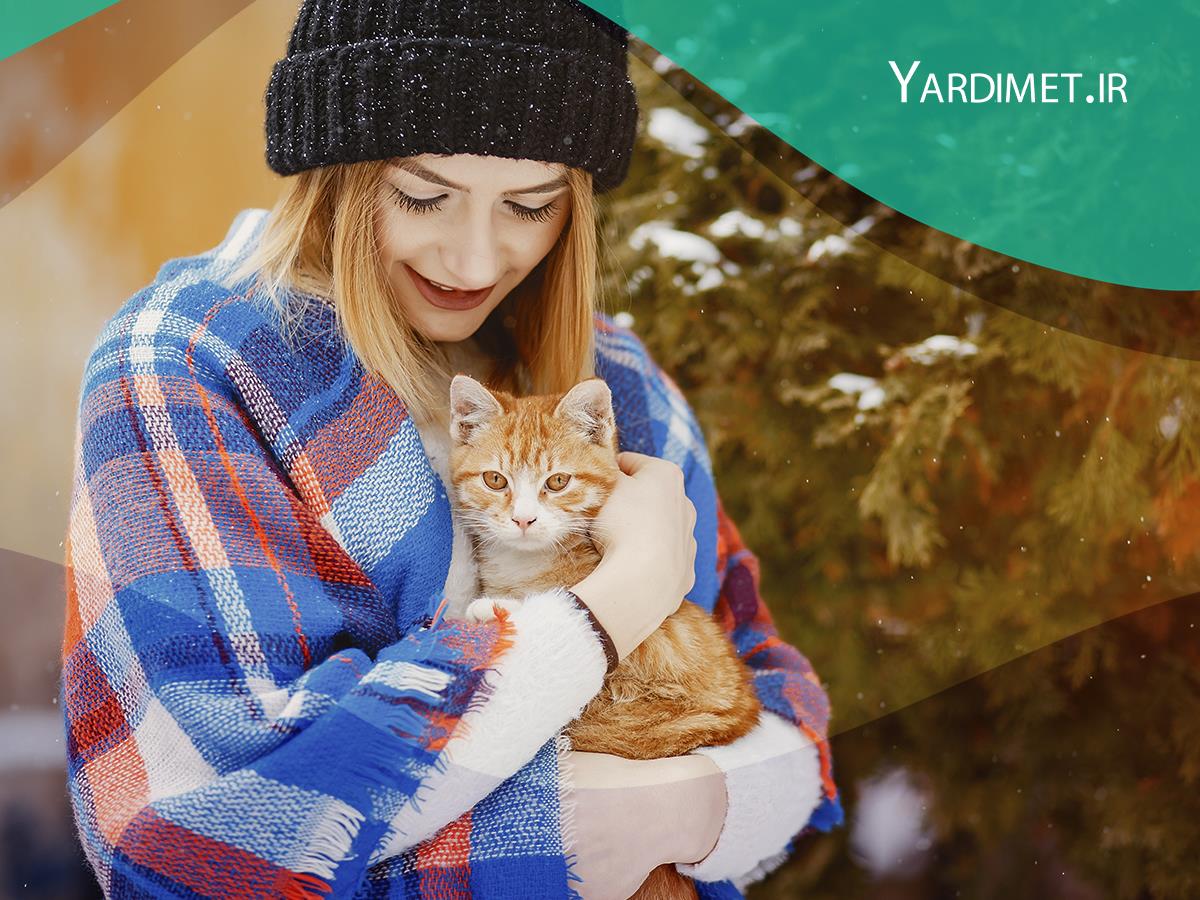 گربه های استانبول، ساکنین محبوب