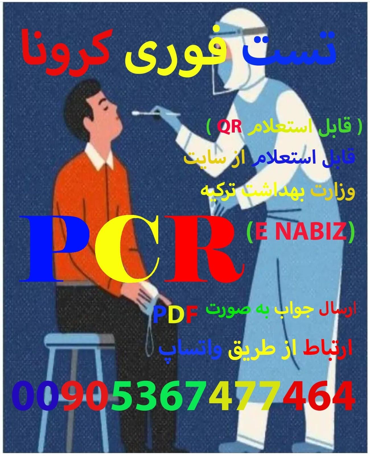 تست pcr