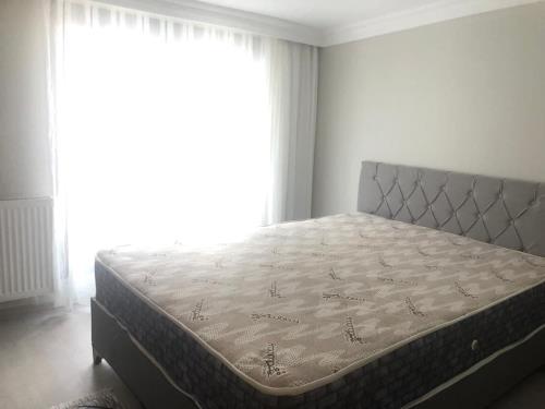 واحد اجاره ای دوخواب