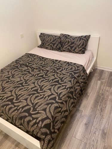 اجاره یکخواب و دوخواب در شیشلی با اشیا کامل
