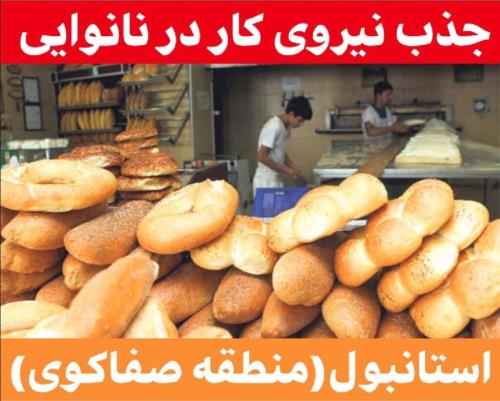 استخدام نانوا در استانبول