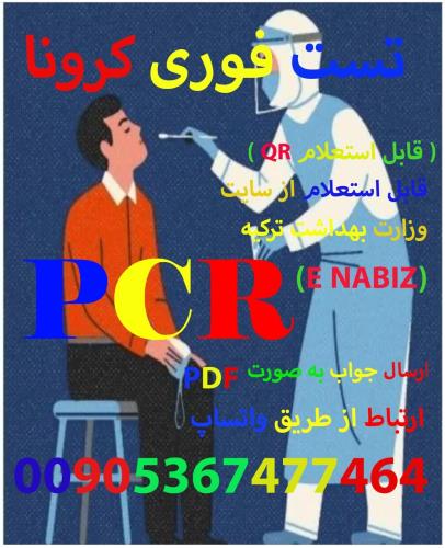 تست pcr